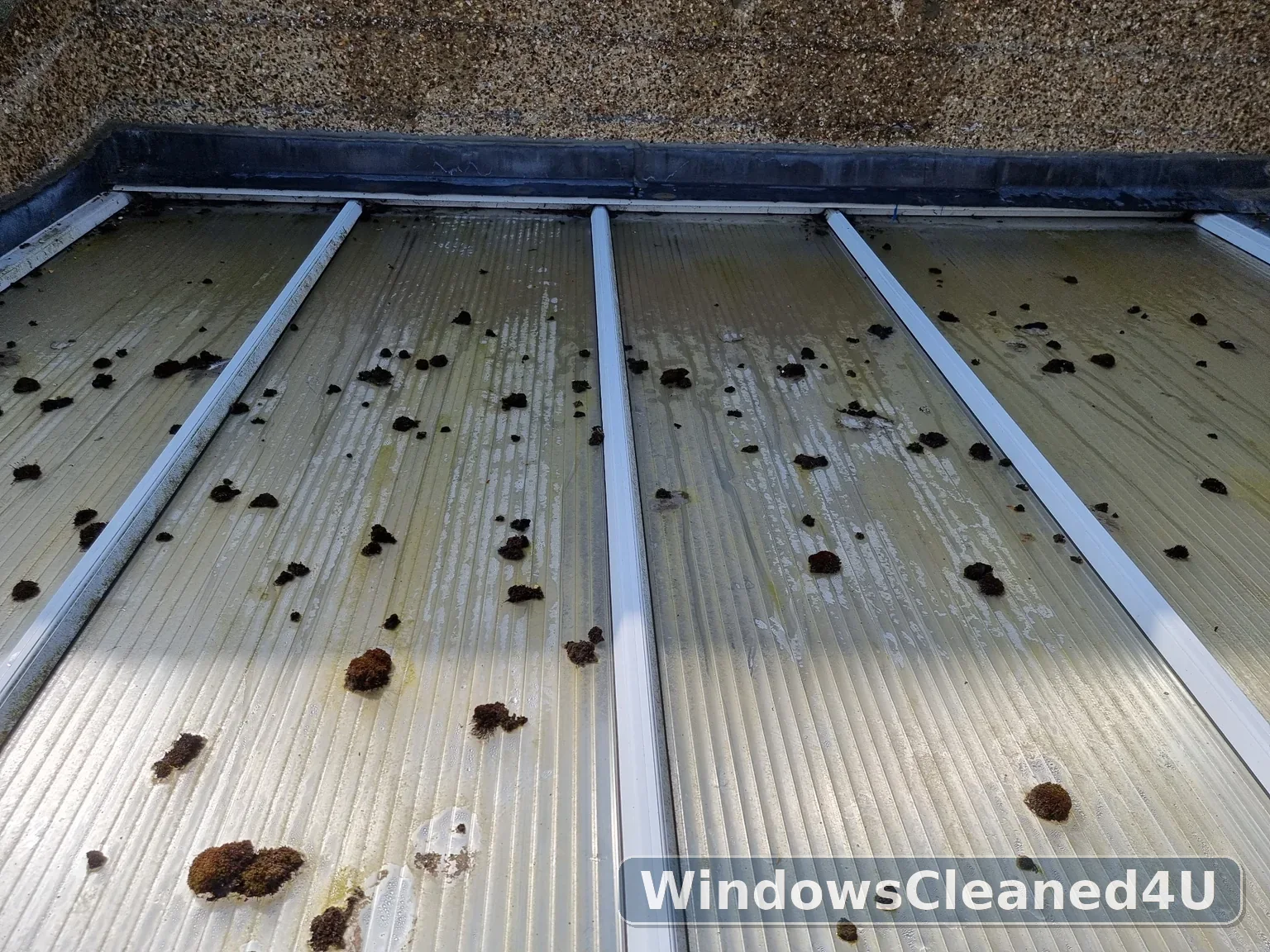 Before cleaning: debris and surface dirt scattered over the conservatory roof