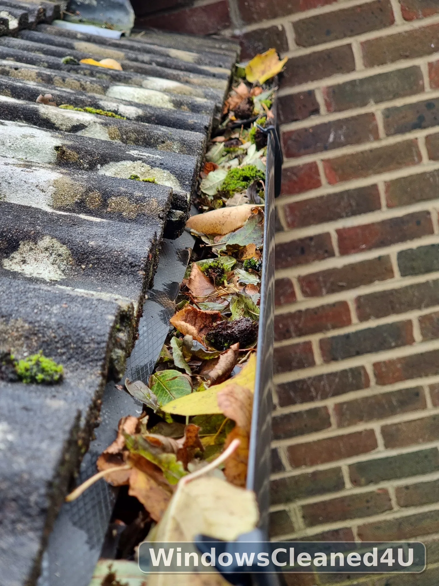 Leaves and moss filling the gutter